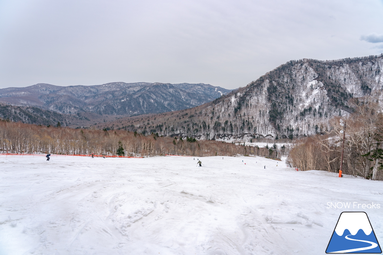 札幌国際スキー場｜2022年のゴールデンウイークが開幕。さすが、KOKUSAI。5月目前にして、ほぼ全面滑走可能です(*^^)v